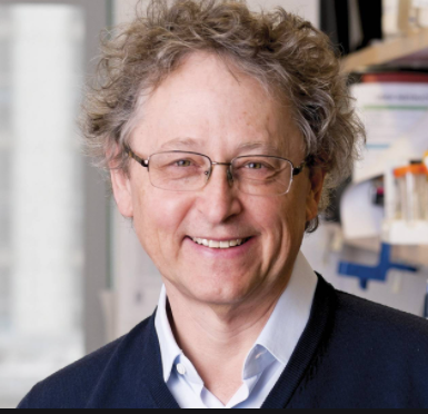 Michel C. Nussenzweig MD PhD